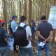 FCA sediou Dia de Campo Florestal e Frum Regional de Desenvolvimento Sustentvel
