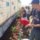 Alunos da FCA/Unesp reformam jardim e criam pomar em escola municipal