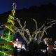 Espao Cultural ganha rvore de Natal feita de materiais reciclados