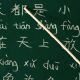 Parceria oferece curso de lngua chinesa em Botucatu