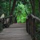 Secretaria do Verde libera uma das trilhas do Parque da Marta para visitao