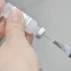 Vacinao contra a gripe entra na reta final