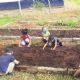 Escola de educao infantil incentiva cultivo de horta comunitria
