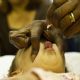 Botucatu d incio a Campanha contra Poliomielite e Multivacinao